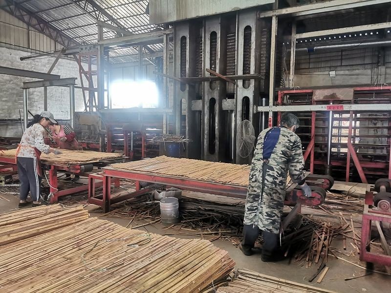 Bamboo Plywood Machine factory